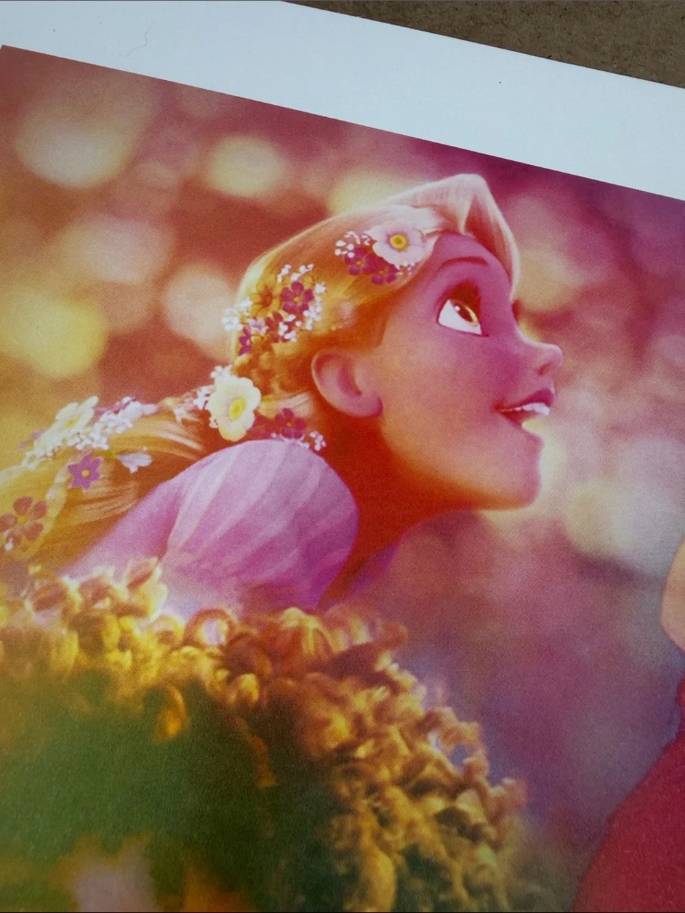 2023 Disney Animation Immersive Experience 17.5x11.25 Print VIP Package Print